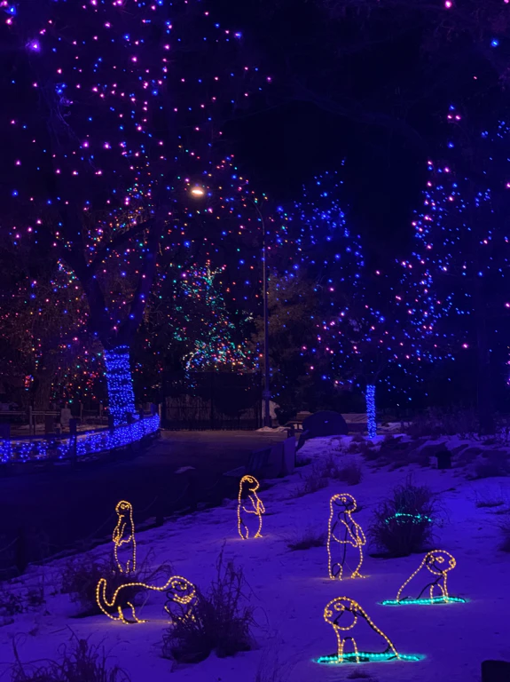 Denver Zoo Lights