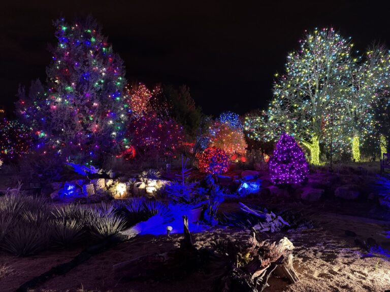 Blossoms of Light at Denver Botanic Gardens